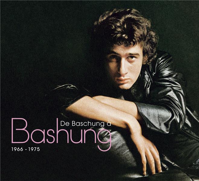 DE BASHUNG À BASHUNG 1966-1975