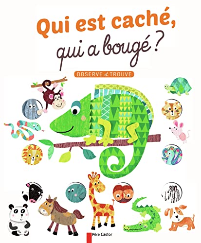 QUI EST CACHÉ, QUI A BOUGÉ ?